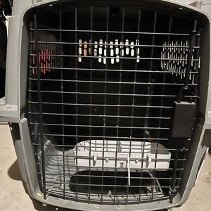 Durable Gray Pet Carrier with Black Grate
